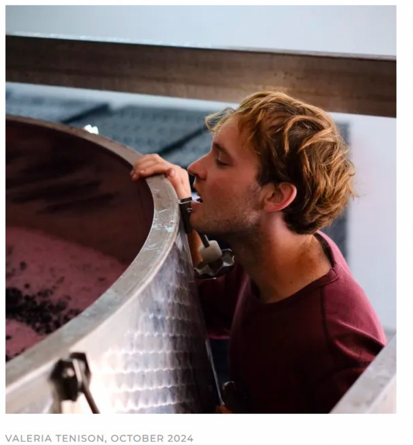 The philosopher Winemaker of Tenuta Licinia