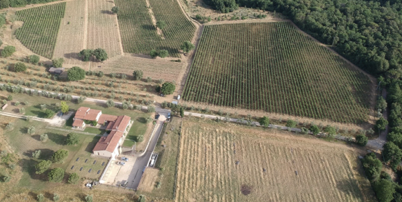 Tenuta Licinia – Von den Grundlagen der Ethik zu den Schieferböden von Licinia